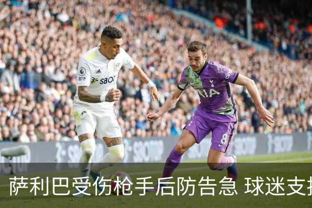 萨利巴受伤枪手后防告急 球迷支招：免签斯通斯不比内部挖潜香？
